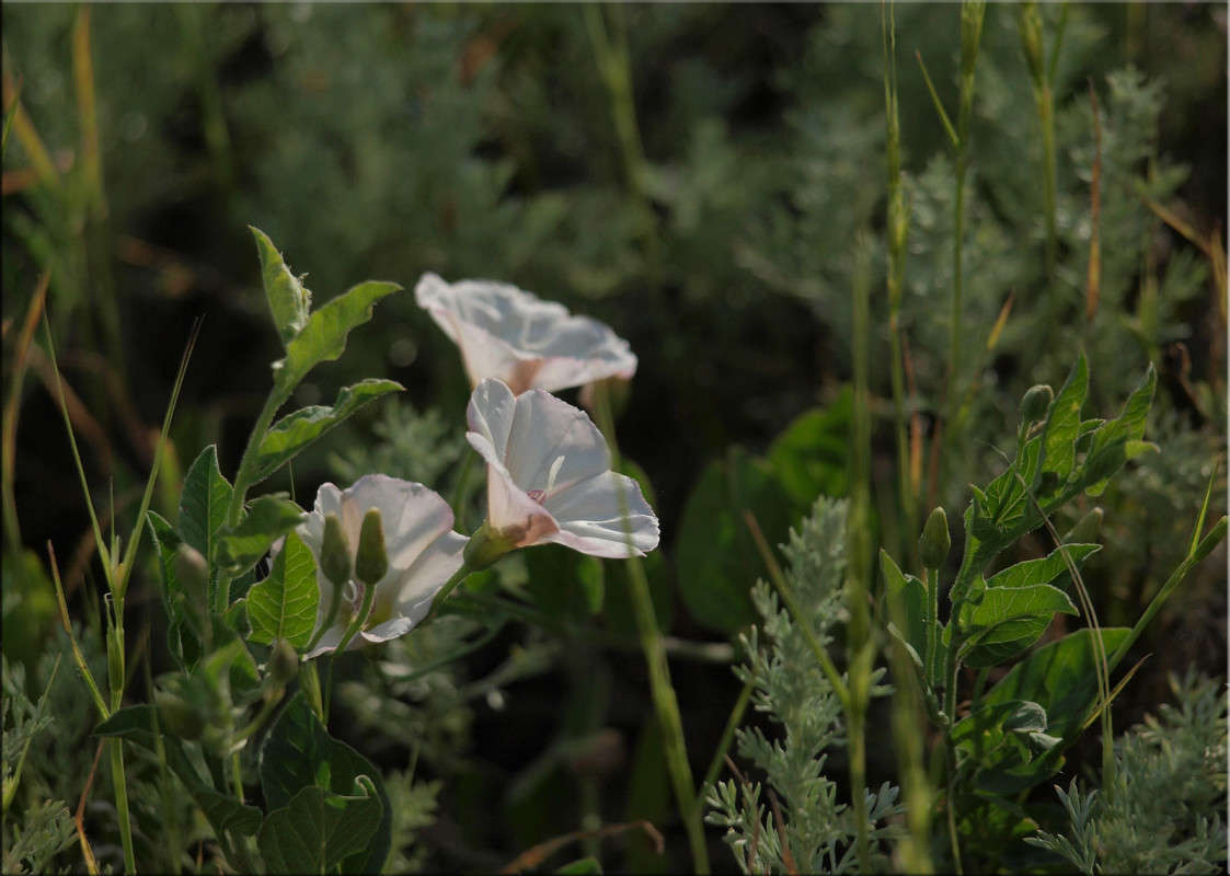 ��������� ����� 3 ����� ������  �� PhotoGeek.ru #������ ��� �������