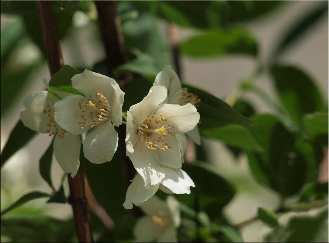 ��������� ����� 2 ����� ������  �� PhotoGeek.ru #������ ��� �������