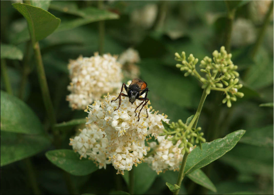 ��������� ����� ����� ������  �� PhotoGeek.ru #������ ��� �������