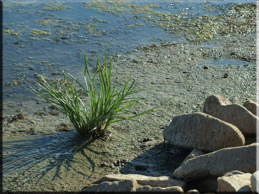 ������� � �������� ����� ������  �� PhotoGeek.ru #������ ��� �������