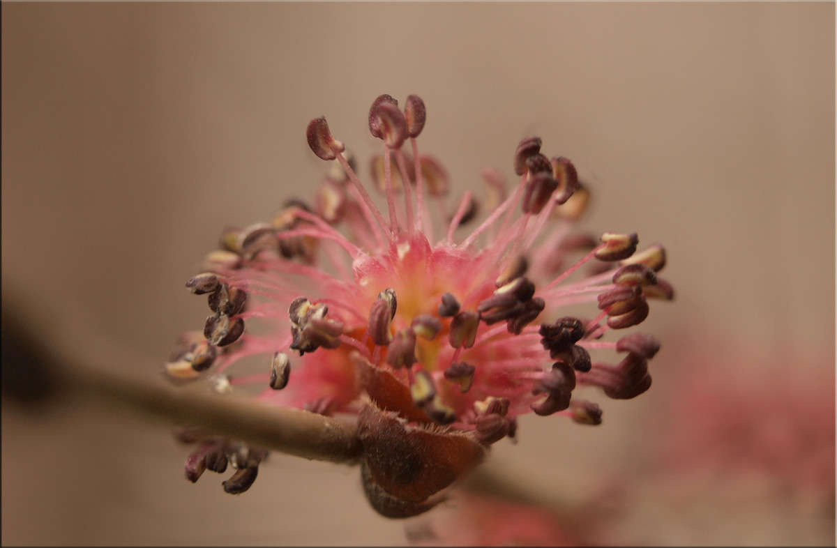 ������� � �������� ����� ������  �� PhotoGeek.ru #�����