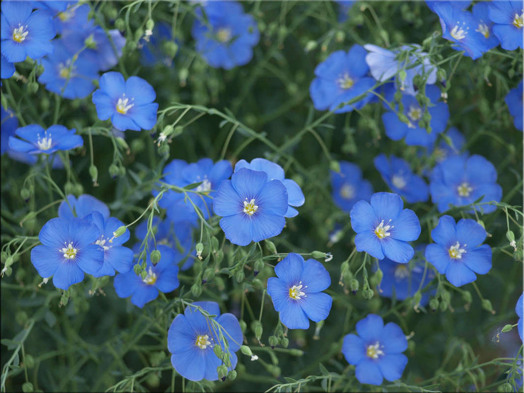 ������ �� ���� ����� ������  �� PhotoGeek.ru #������ ��� �������