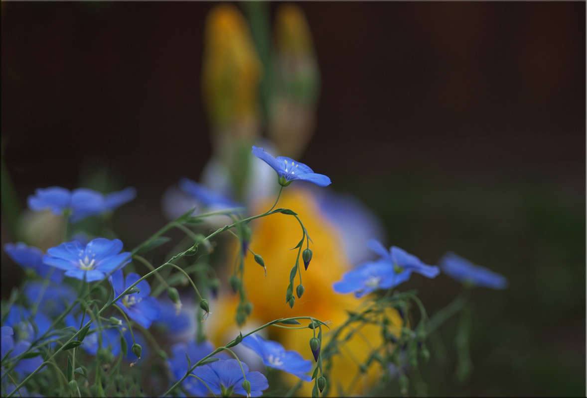 ������ � ����� ����� ������  �� PhotoGeek.ru #������ ��� �������