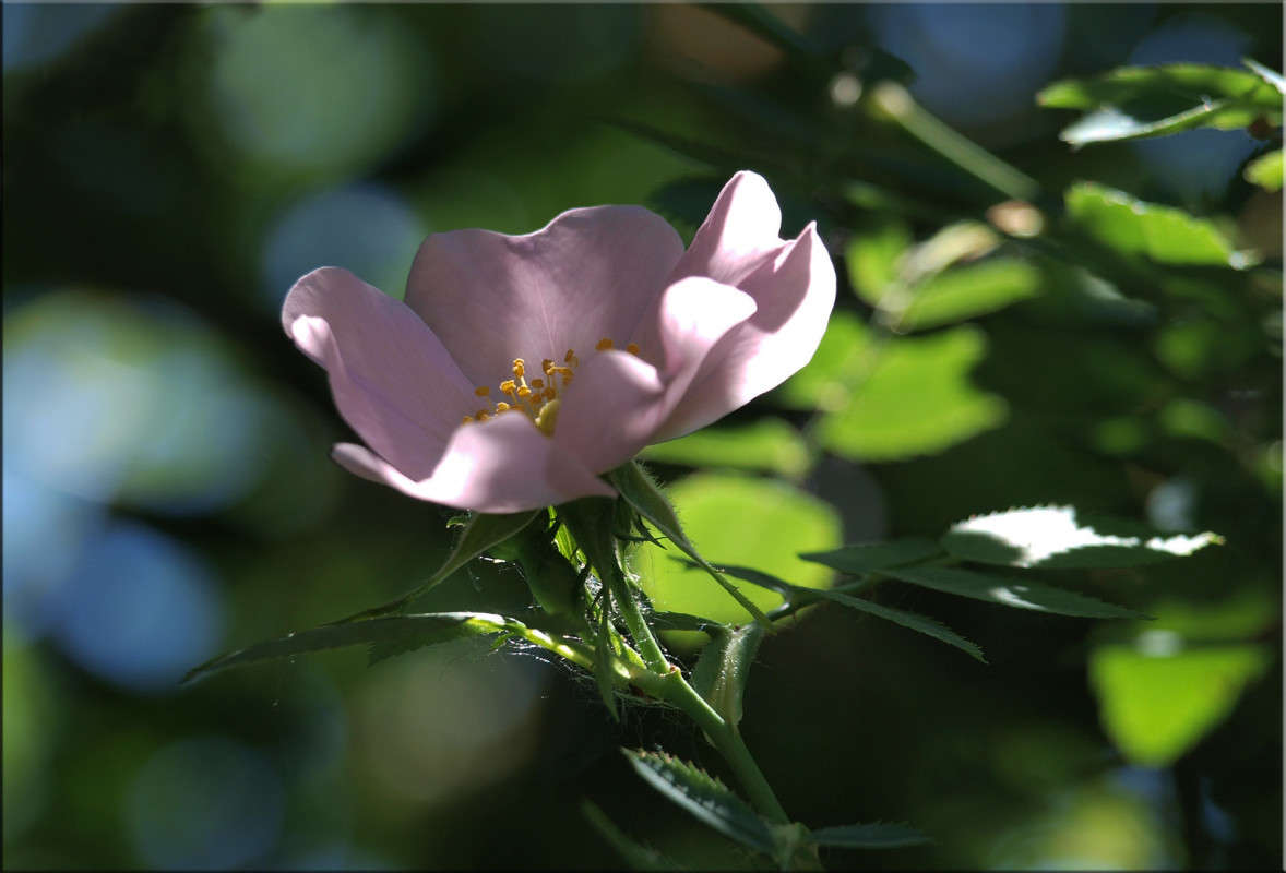 �������� ��������� ����� ������  �� PhotoGeek.ru #������ ��� �������