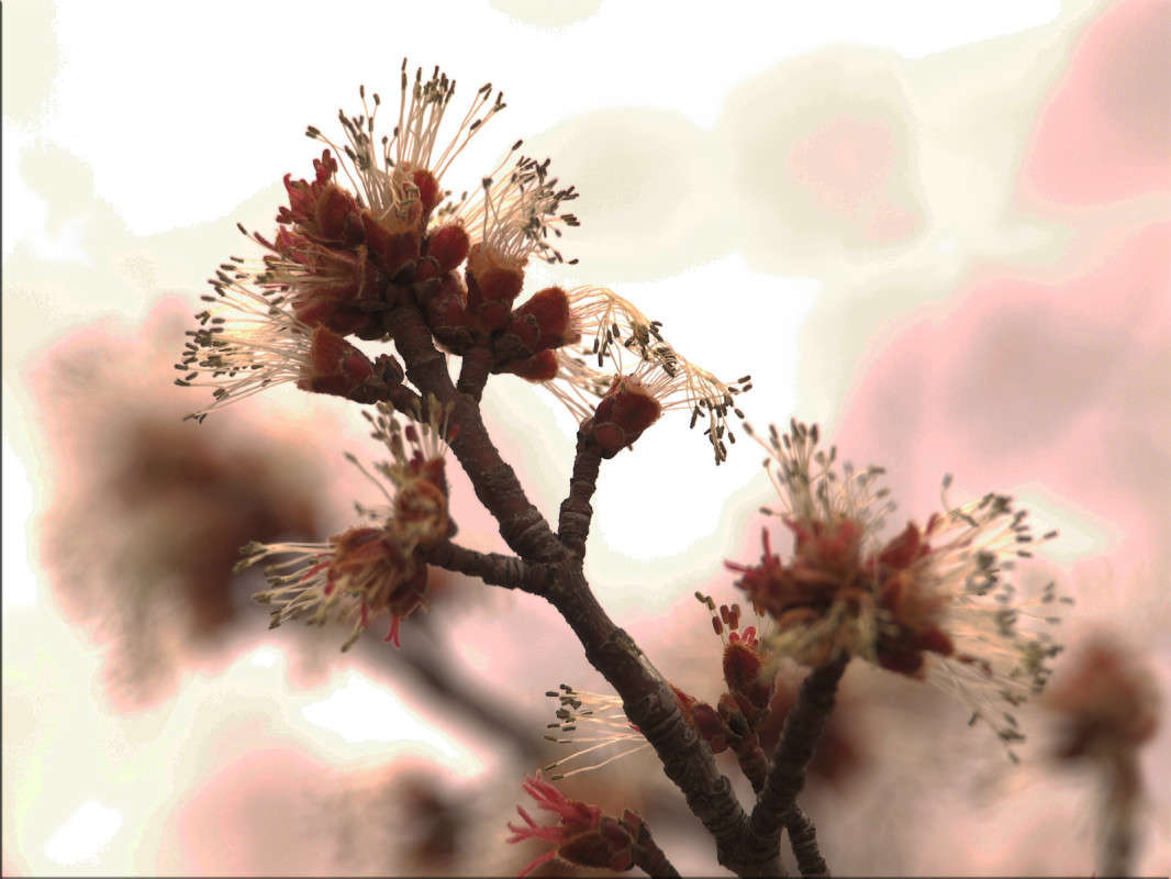 ���� �������� ����� ������  �� PhotoGeek.ru #������ ��� �������