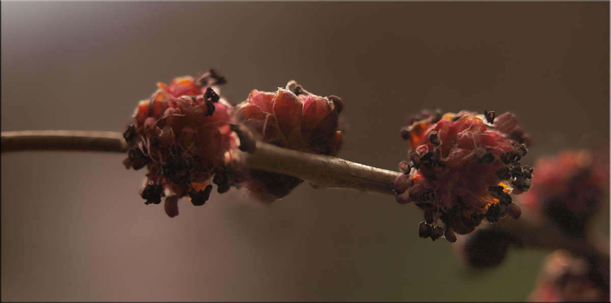 ������ ����� ����� ������  �� PhotoGeek.ru #������ ��� �������