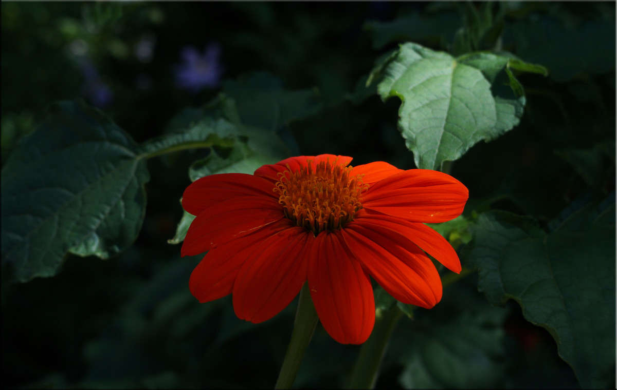 ���������� ��������� ����� ������  �� PhotoGeek.ru #������ ��� �������