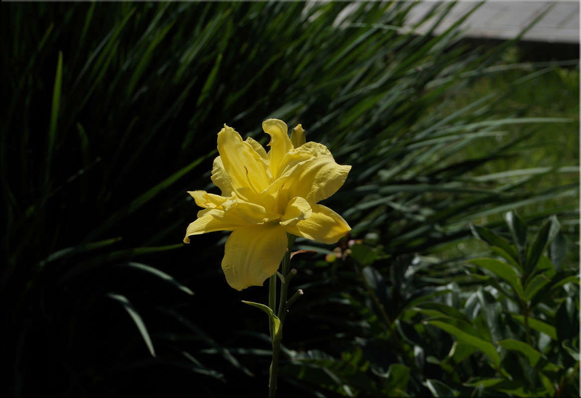 ������ ����� ������  �� PhotoGeek.ru #������ ��� �������