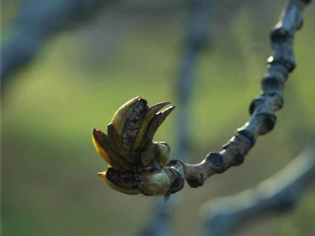 ������ ���������� ����� ����� ������  �� PhotoGeek.ru #������ ��� �������