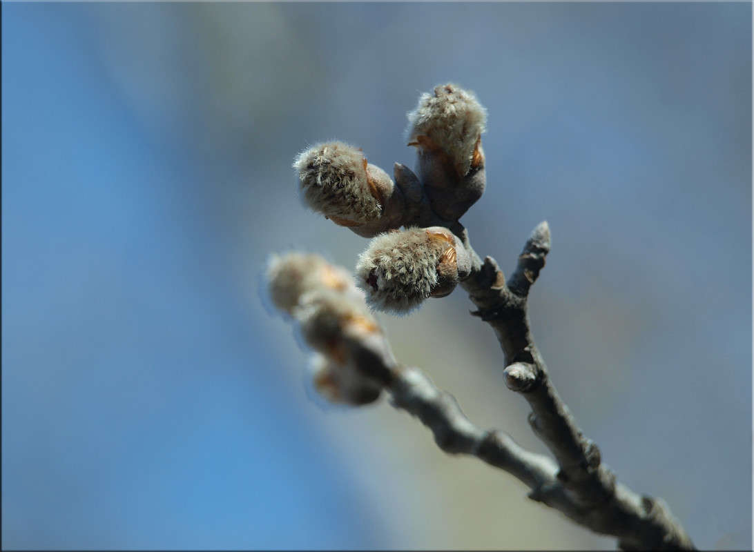 ������ ���������� ����� 2 ����� ������  �� PhotoGeek.ru #������ ��� �������