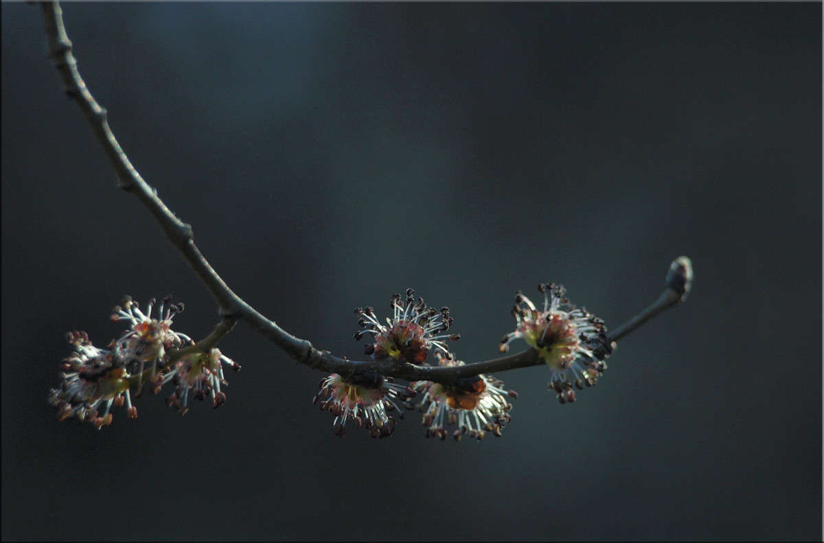 ������ ���������� ����� 3 ����� ������  �� PhotoGeek.ru #������ ��� �������