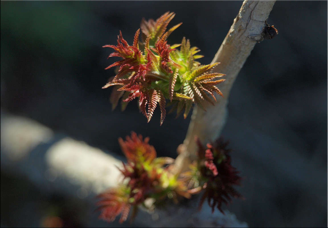 ������ ���������� ����� 5 ����� ������  �� PhotoGeek.ru #������ ��� �������