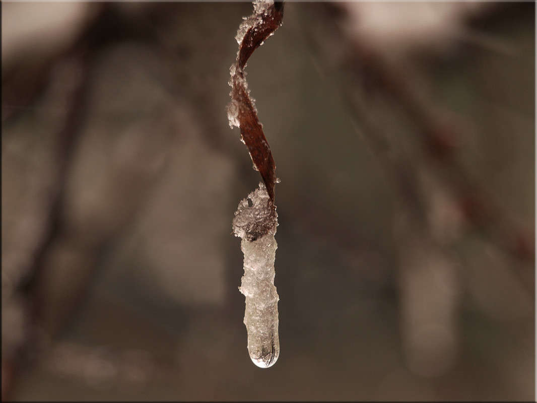 ... ����� ������  �� PhotoGeek.ru #�����