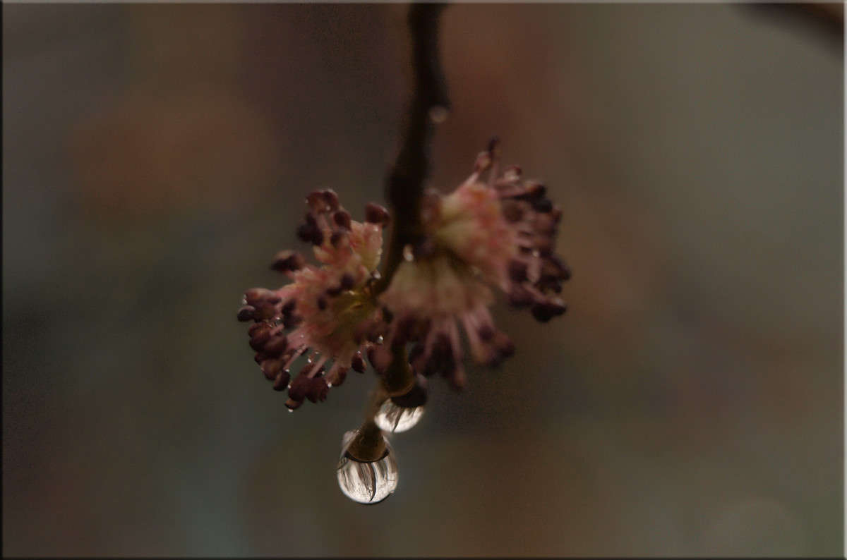 ... ����� ������  �� PhotoGeek.ru #�����