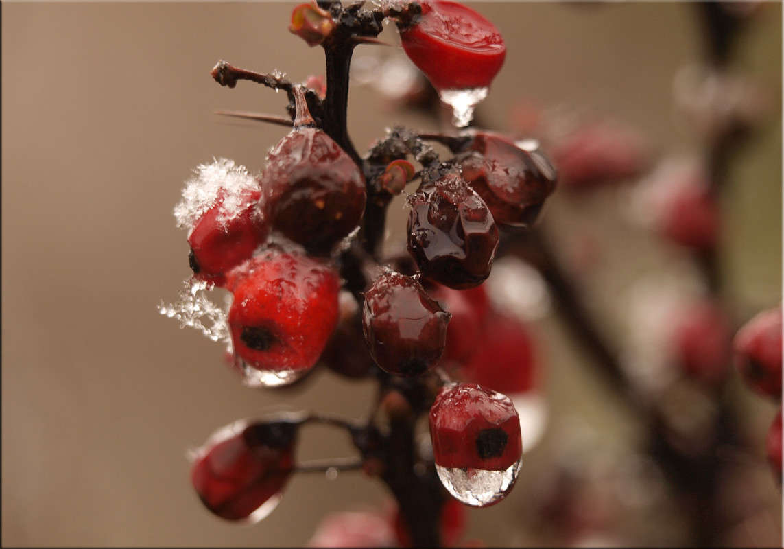 ... ����� ������  �� PhotoGeek.ru #�����