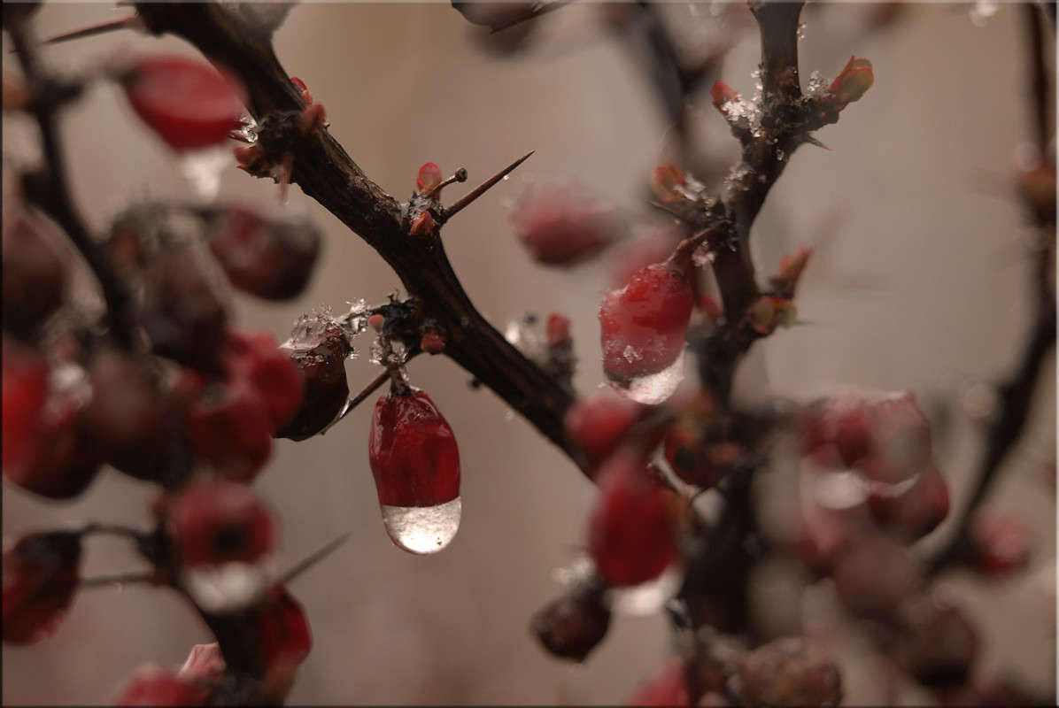 ... ����� ������  �� PhotoGeek.ru #�����