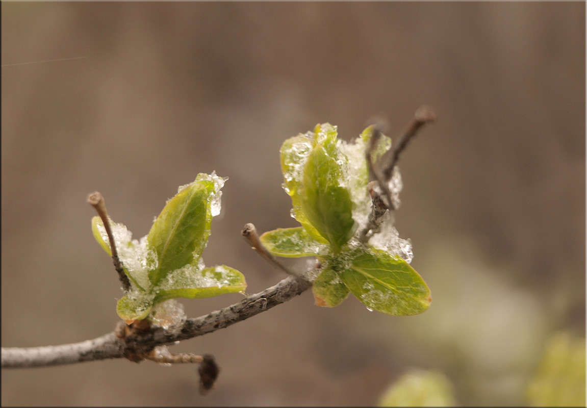 ������� ����� 5 ����� ������  �� PhotoGeek.ru #������ ��� �������
