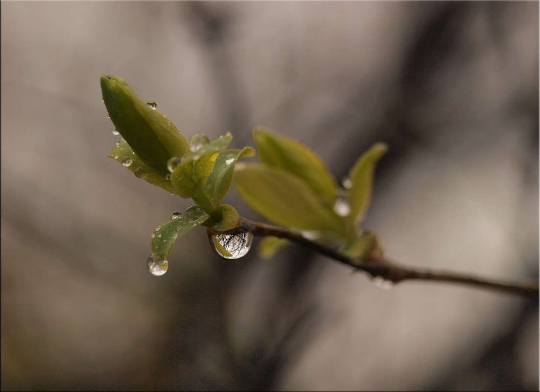 ����� ������ ����� ������  �� PhotoGeek.ru #������ ��� �������