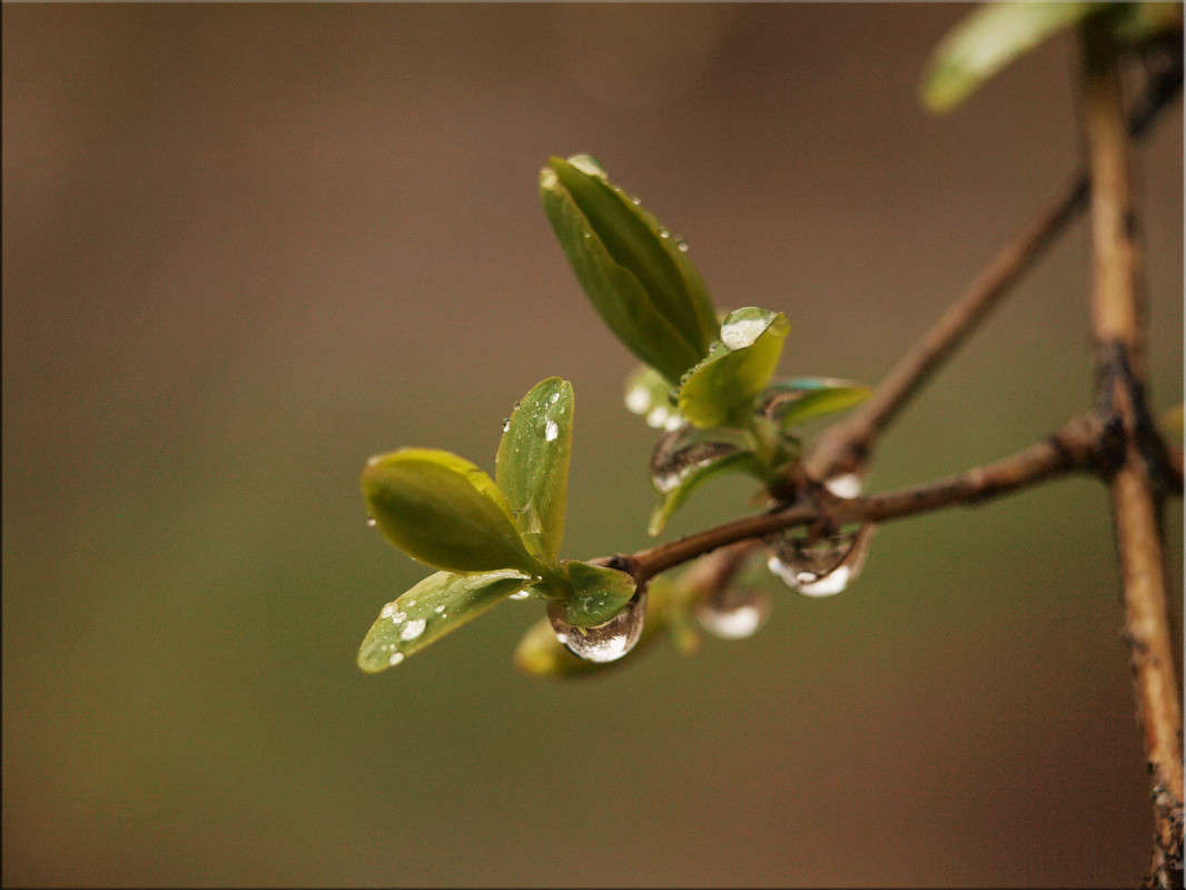 ����� ������ 2 ����� ������  �� PhotoGeek.ru #������ ��� �������