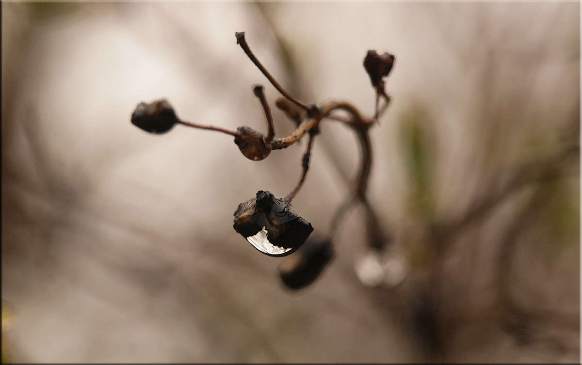 ����� ������ 3 ����� ������  �� PhotoGeek.ru #������ ��� �������