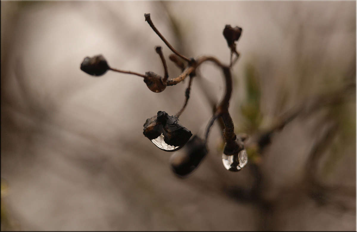 ����� ������ ����� ������  �� PhotoGeek.ru #������ ��� �������