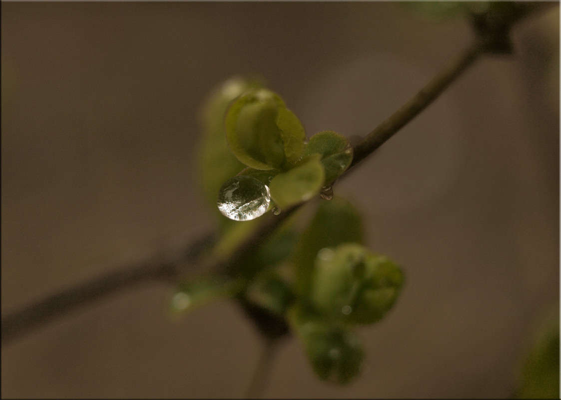 ����� ������ 5 ����� ������  �� PhotoGeek.ru #������ ��� �������