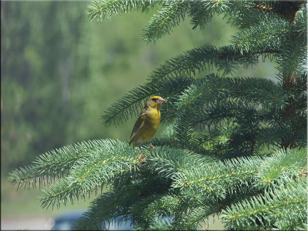 ����� ����� ������  �� PhotoGeek.ru #�������� ���