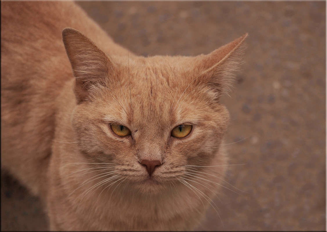 ����� � ������� ����� ������  �� PhotoGeek.ru #�������� ���