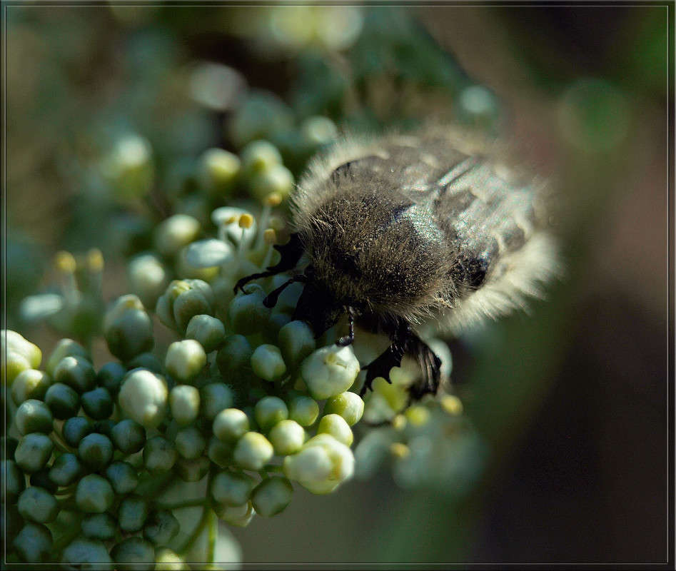�������� � �������� ����� ������  �� PhotoGeek.ru #�����