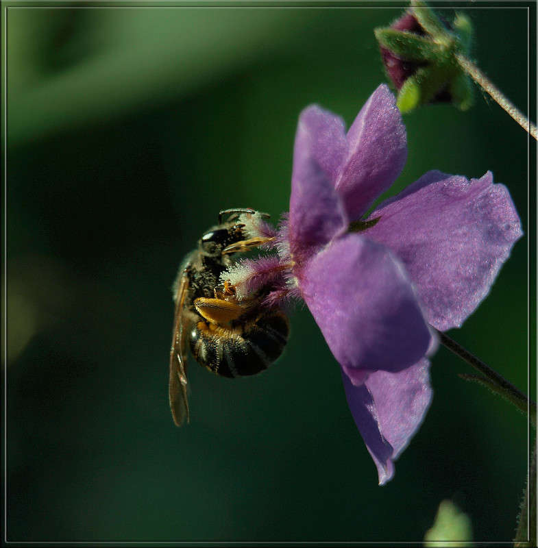 �� ���������� ����� ������  �� PhotoGeek.ru #�����