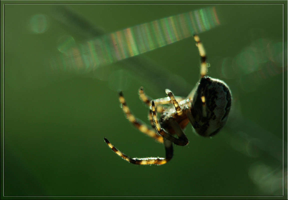 ����������� ����� ������  �� PhotoGeek.ru #�����