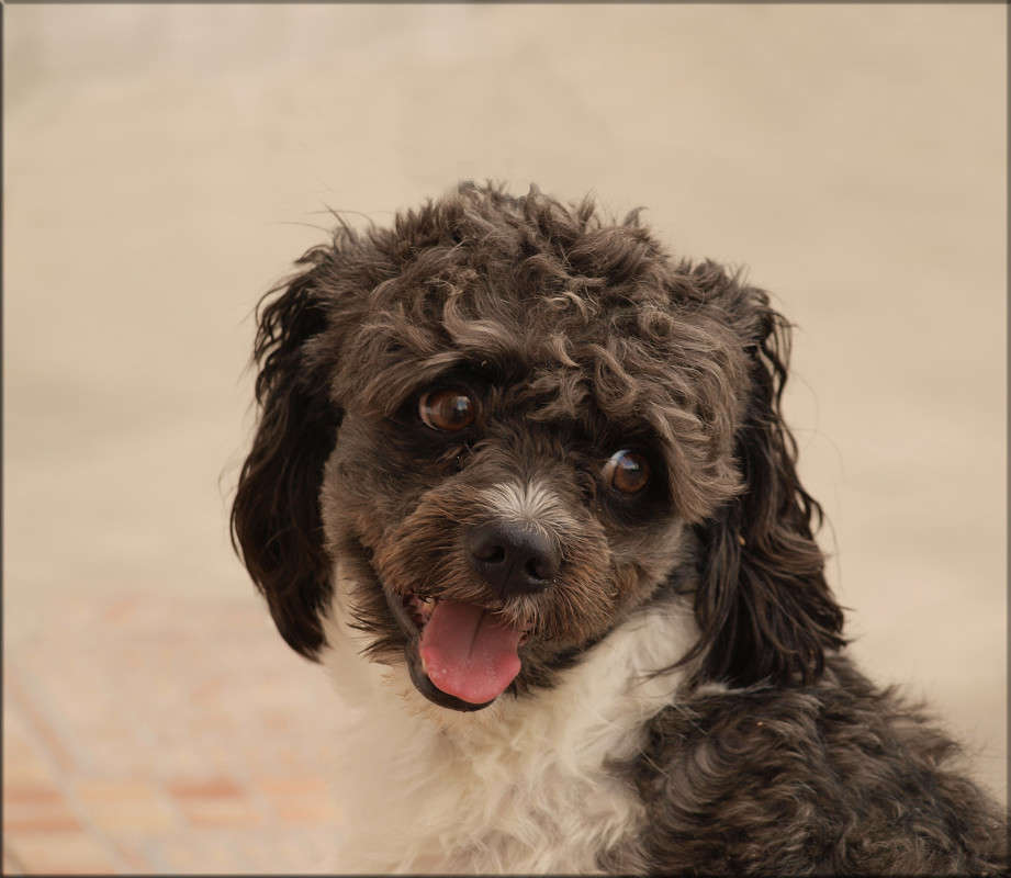 ����������� ����� ������  �� PhotoGeek.ru #�������� ���