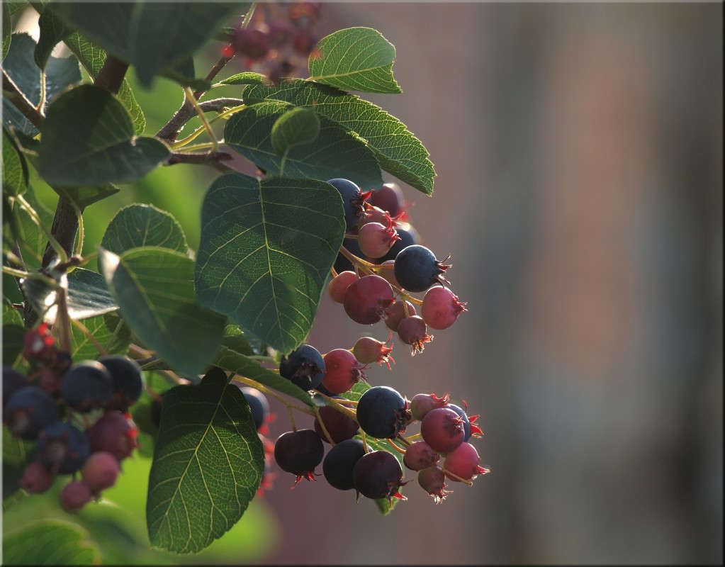 ���� ����� ������  �� PhotoGeek.ru #������ ��� �������