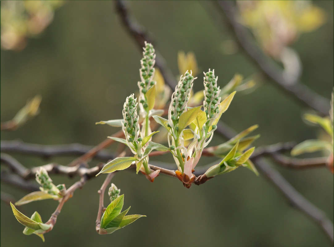 � ���������� ���������� ����� ������  �� PhotoGeek.ru #������ ��� �������