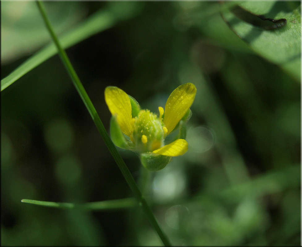 � ����� ����� ����� ������  �� PhotoGeek.ru #������ ��� �������