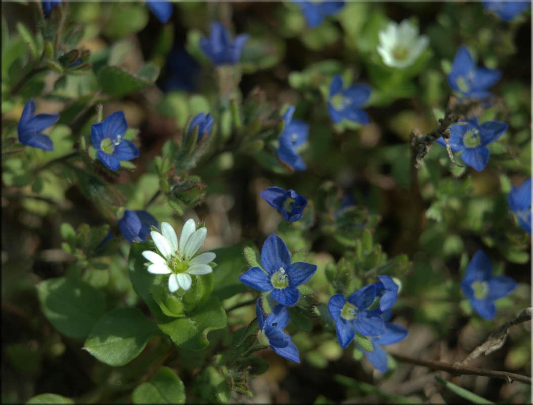 ������ ����� ����� ����� ������  �� PhotoGeek.ru #������ ��� �������