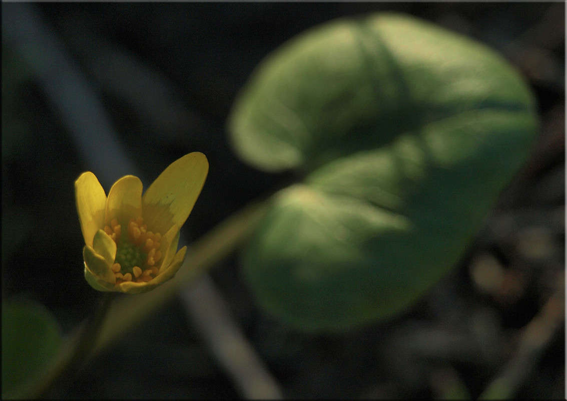 � ����� ����� 2 ����� ������  �� PhotoGeek.ru #������ ��� �������