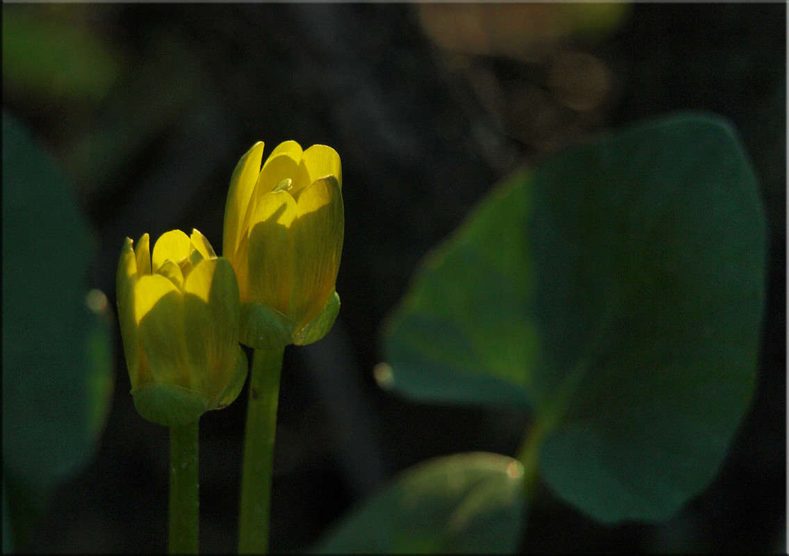 � ����� ����� 3 ����� ������  �� PhotoGeek.ru #������ ��� �������