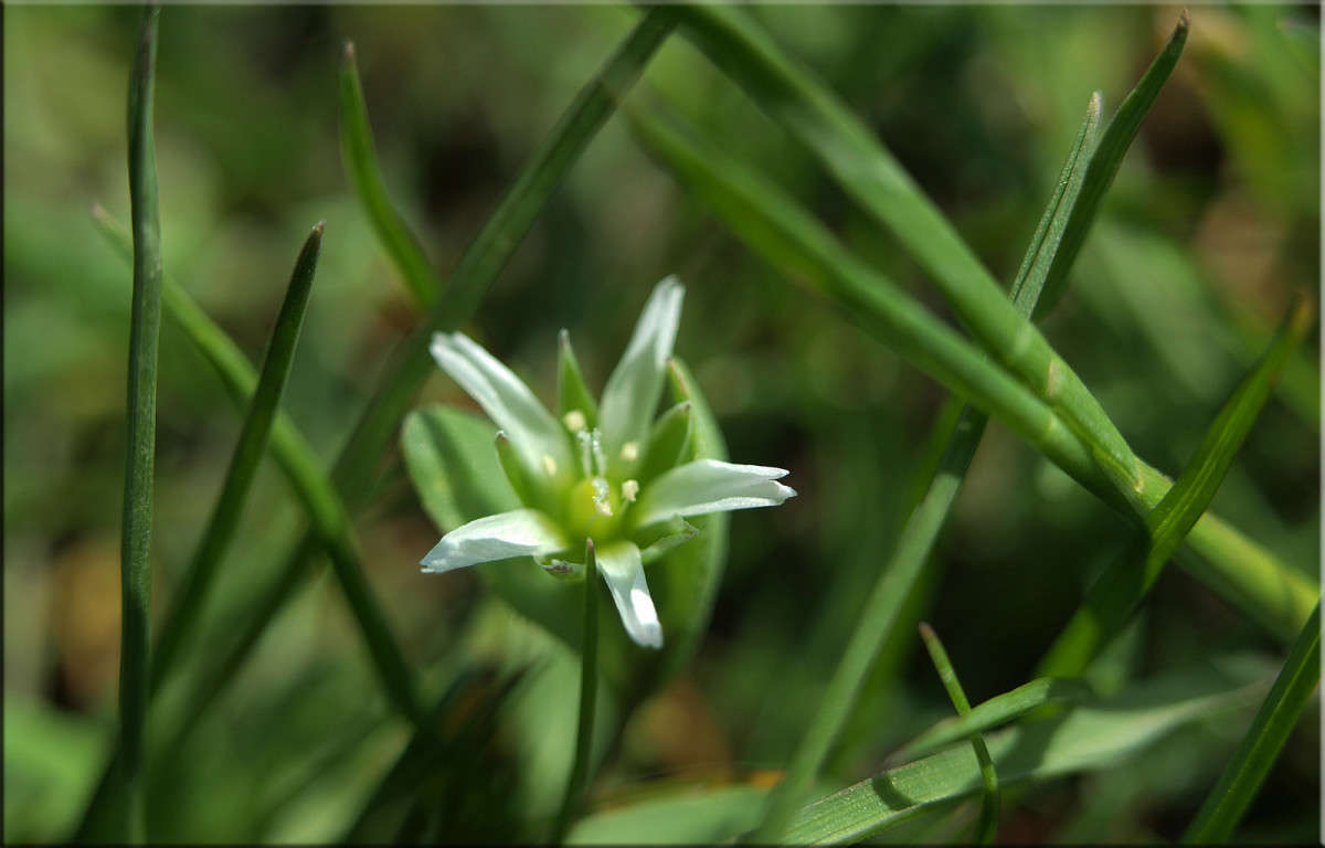 ������ ����� ����� ����� ������  �� PhotoGeek.ru #������ ��� �������