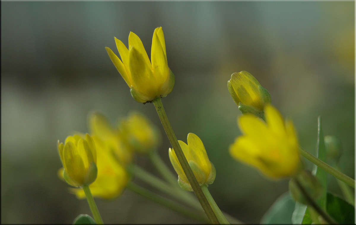 ������ � ����� ����� ������  �� PhotoGeek.ru #������ ��� �������