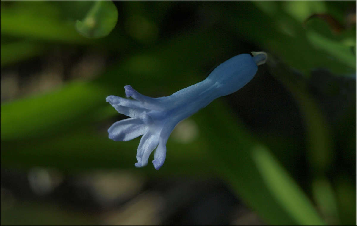 "������ � ����� 3 ����� ������  �� PhotoGeek.ru #������ ��� �������