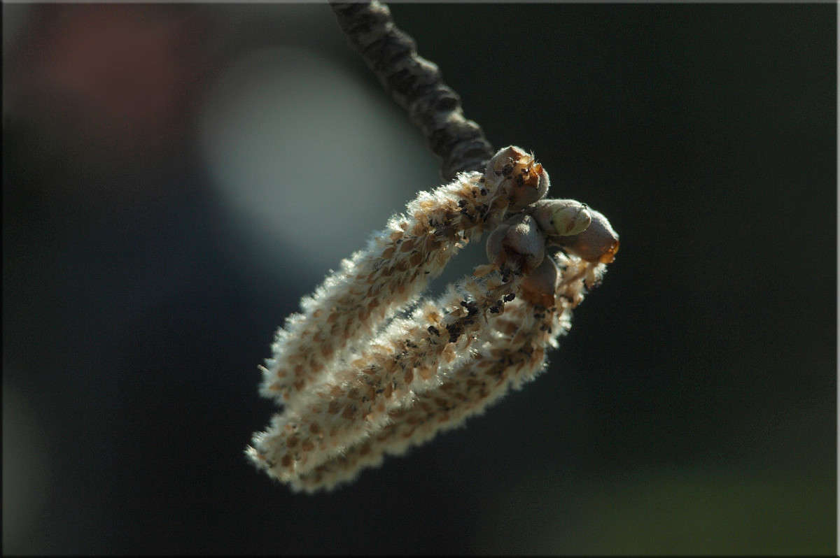 ������ � ����� 2 ����� ������  �� PhotoGeek.ru #������ ��� �������