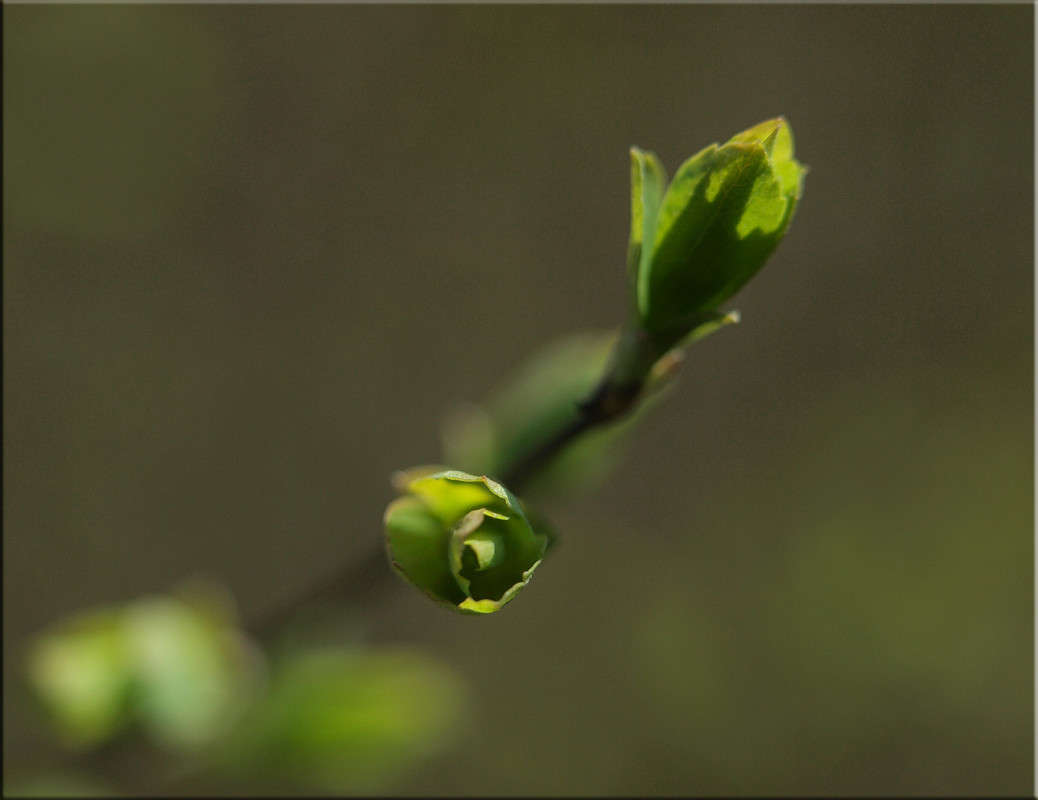 ... ����� ������  �� PhotoGeek.ru #������ ��� �������