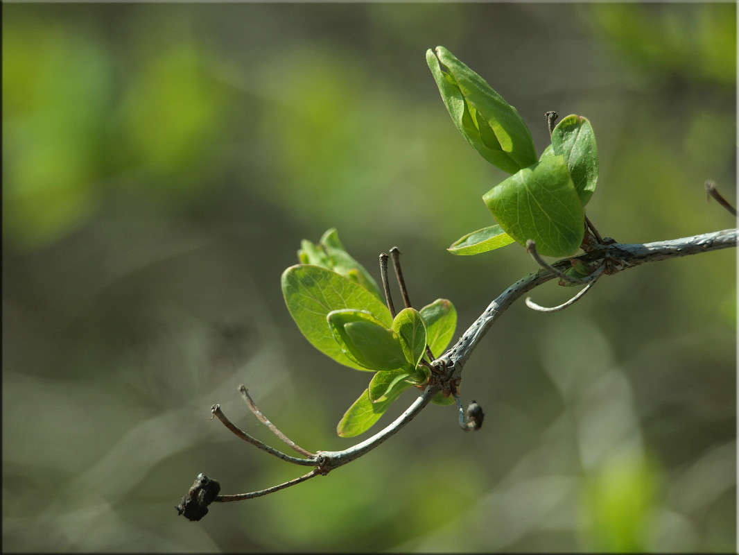 ... ����� ������  �� PhotoGeek.ru #������ ��� �������