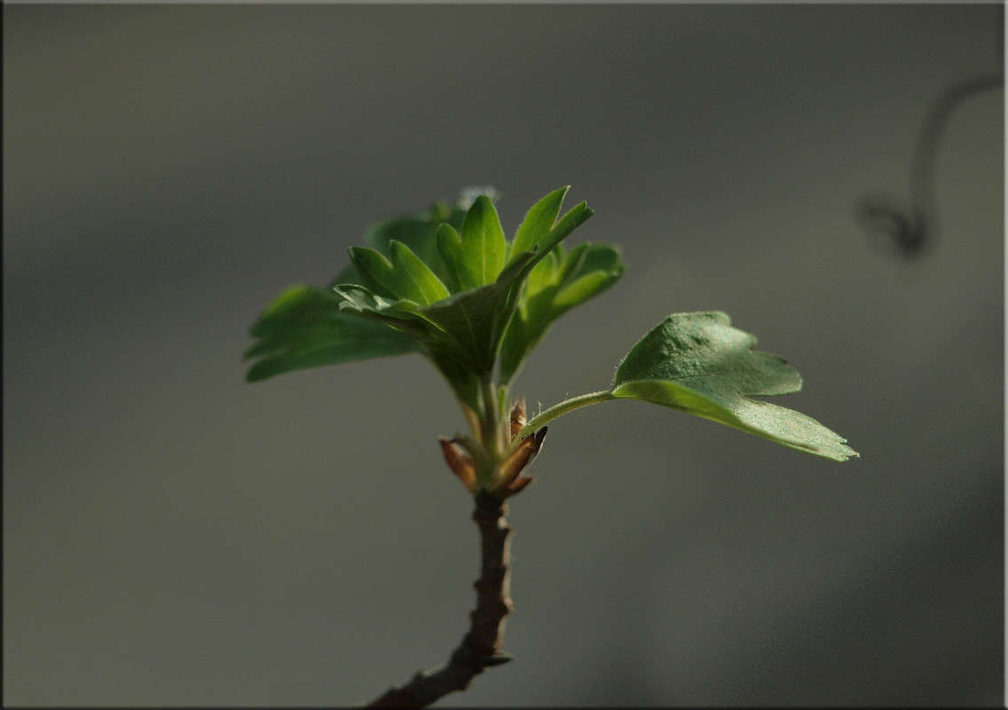 ... ����� ������  �� PhotoGeek.ru #������ ��� �������