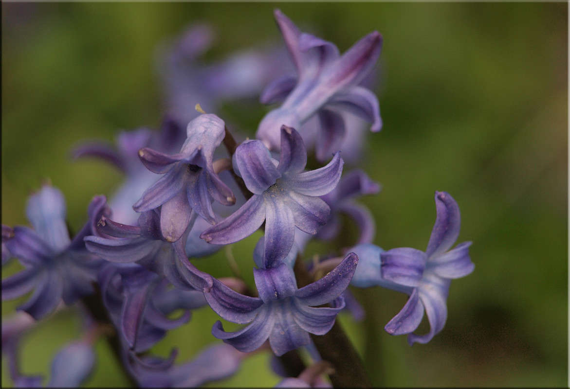 ����� ������ ����� ������  �� PhotoGeek.ru #������ ��� �������