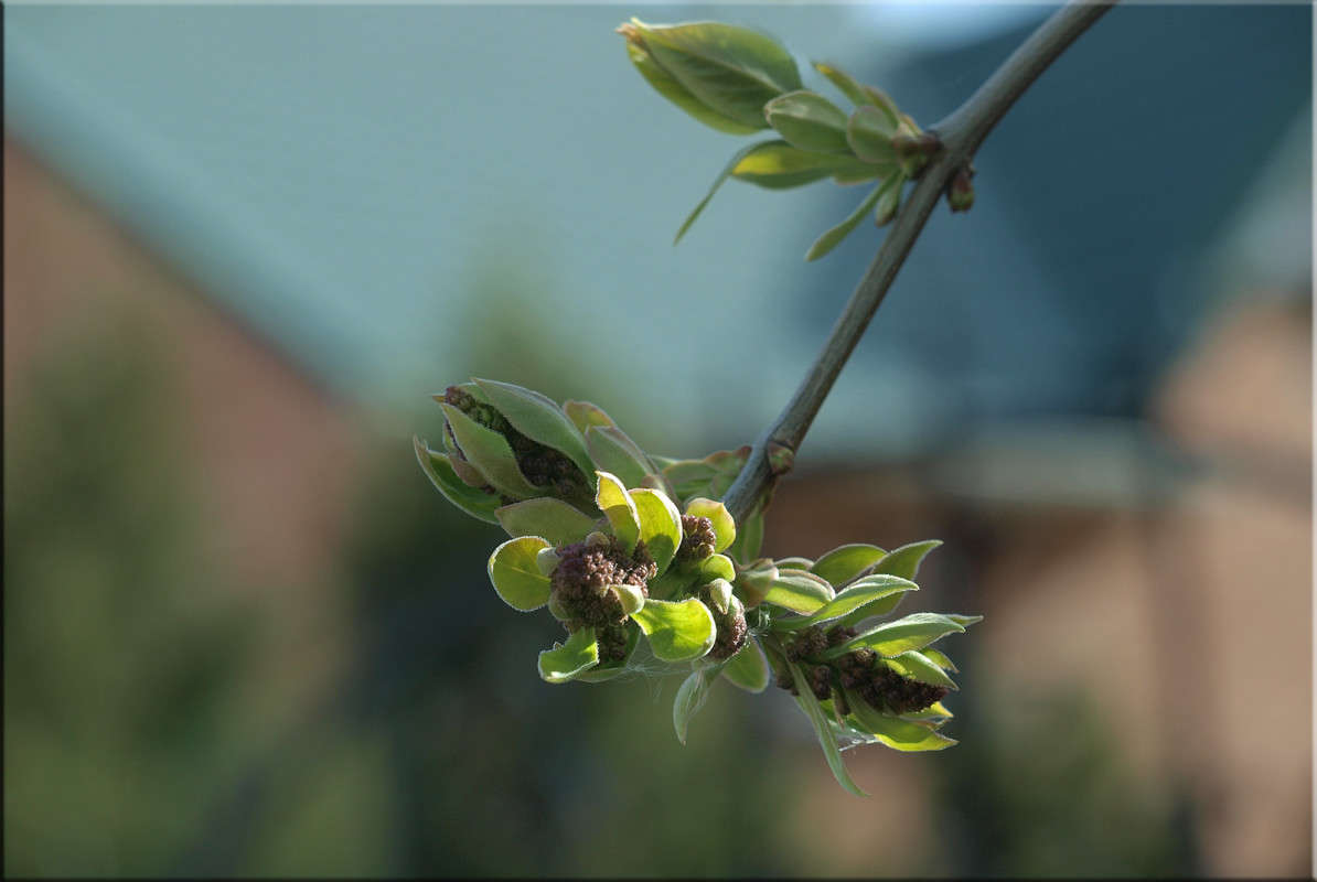 �������� ���������� 2 ����� ������  �� PhotoGeek.ru #������ ��� �������