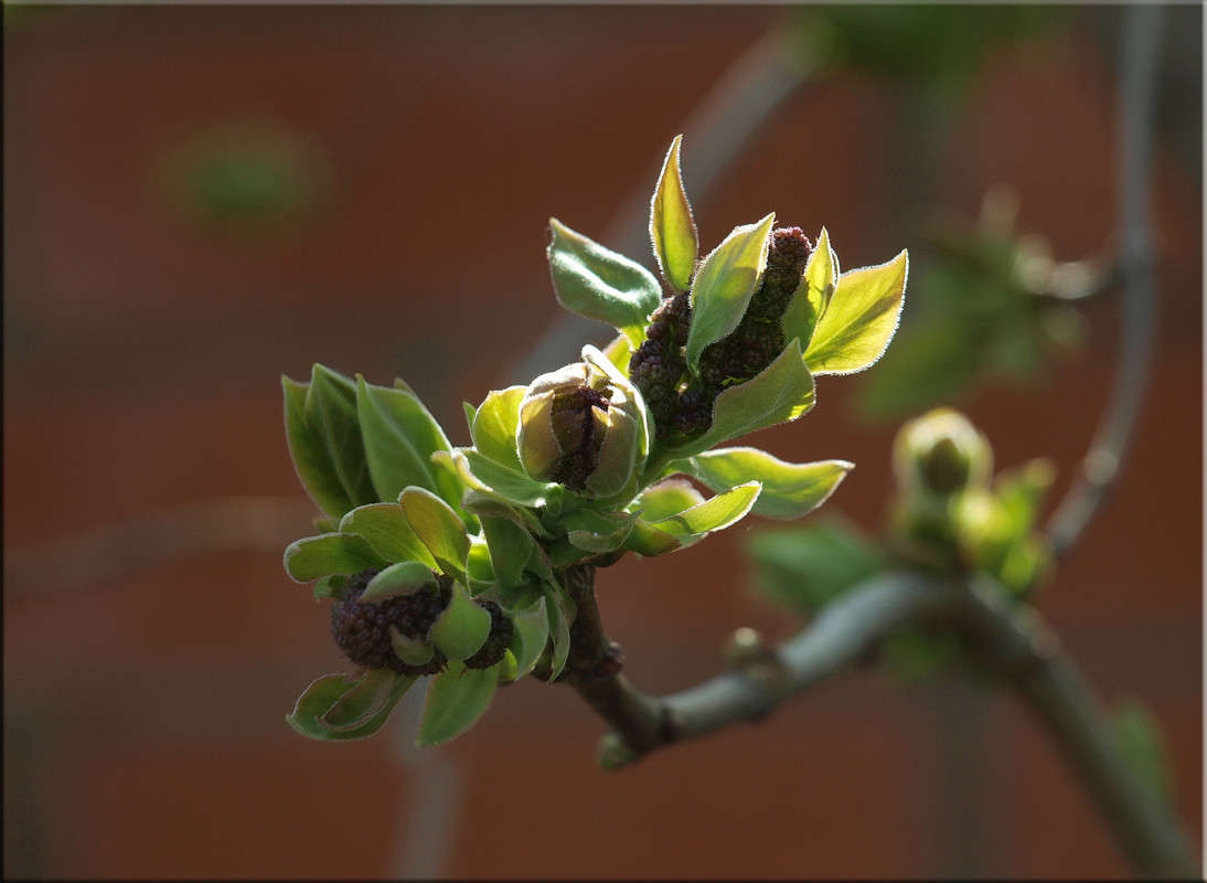 �������� ���������� ����� ������  �� PhotoGeek.ru #������ ��� �������