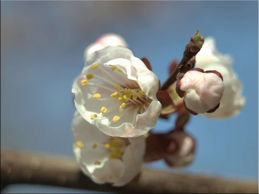 ������� � �������� ���������� ����� ������  �� PhotoGeek.ru #������ ��� �������