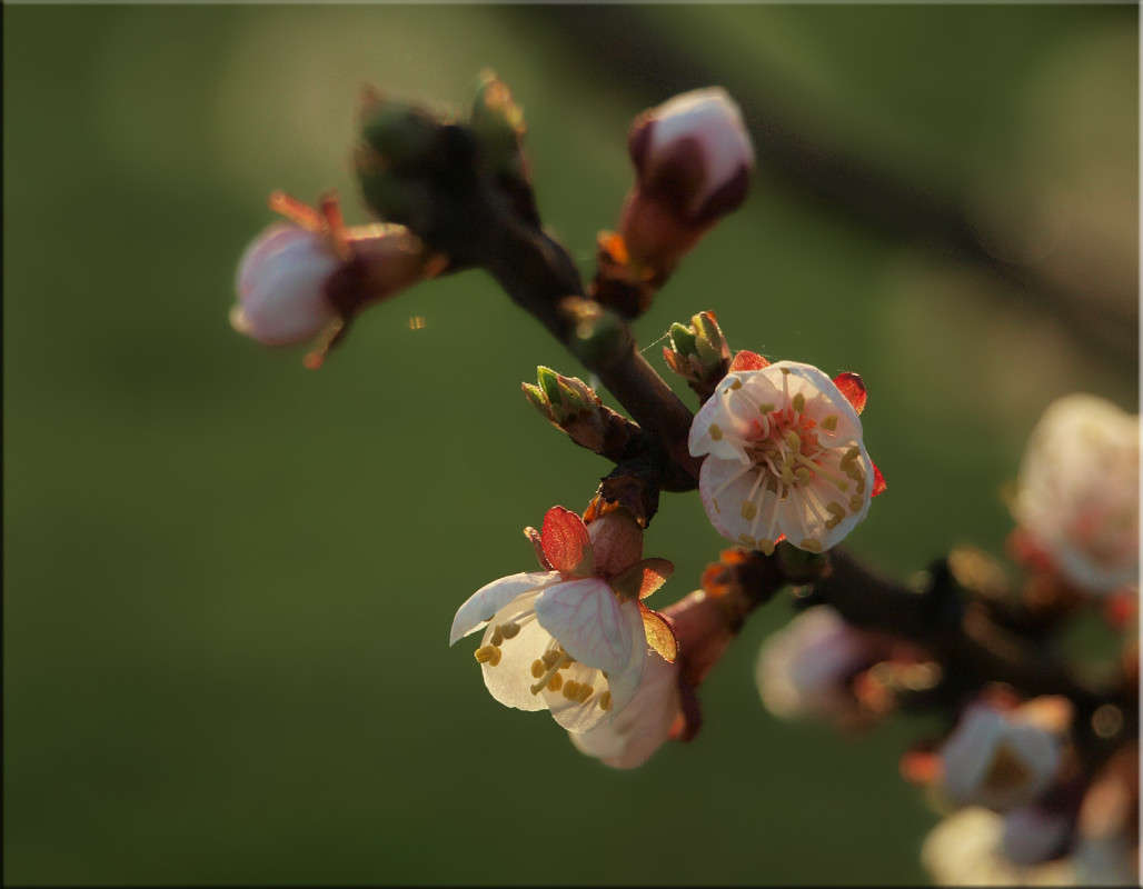 �� �������� ����� ������  �� PhotoGeek.ru #������ ��� �������